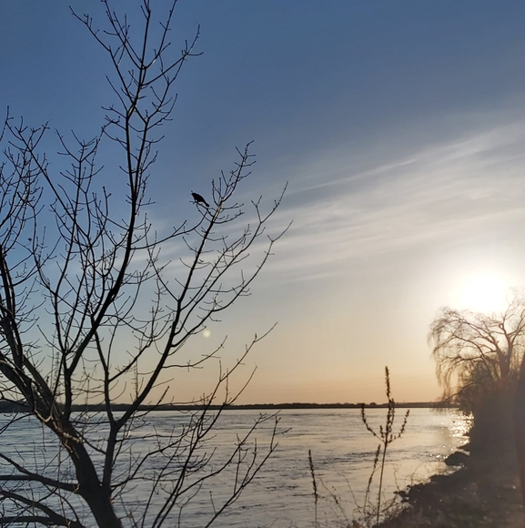 Meet your Posher, Ha - Picture 1 of 1